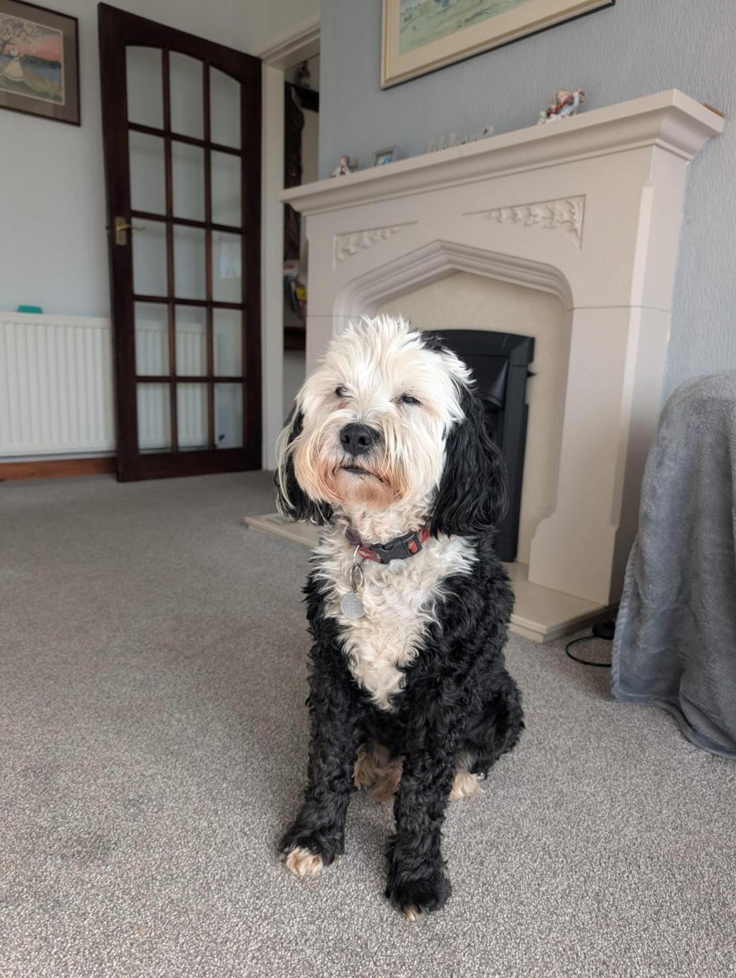 Kents Bank Holiday - Pet Friendly With Bay Views Grange-over-Sands Esterno foto
